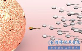 　　少精症的危害有什么？现在男性患有少精症疾病的比较常见，而少精症是导致男性不育的主要原因，也会给男性造成身体上的严重危害。如果少精症没有得到及时的治疗，就会导致很严重的危害。  　　不治疗少精症的危害：  　　1.造成二轻泌尿生殖系统炎症：二轻泌尿生殖系统炎症包括睾丸炎、附睾炎、精囊炎、前列腺炎、尿道炎等，可采用药物治疗，另外生活调理也不应该忽视，要注意休息，减少房事是有必要的。  　　2.造成无精症：因为睾丸温度升高及毒素淤积等原因使睾丸生精功能受到影响，引起少精症，治疗不及时严重的话可造成无精症。  　　3.造成不孕：少精症虽然不会导致绝对不孕，但会很大的降低生育能力，而且如果没有及时治疗引发无精症，导致不育的几率很大!  　　4.造成内分泌异常：男性正常生精功能主要就是依赖于下丘脑-垂体-性腺轴功能的正常，其中任何一环节障碍，都会影响生精功能，其它如甲状腺、肾上腺疾病也会影响生殖腺功能而致该病。推荐阅读：引起少精的因素都有哪些  　　大连呼和浩特男科医院专家提醒：为了您的健康，如果发现自身患有问题应该及时去医院检查治疗，以免造成无法拯救的后果，请及时去医院检查治疗，如果你有什么需要帮助的地方，可以在线咨询医院专家身体，专家将给您详细的回答。